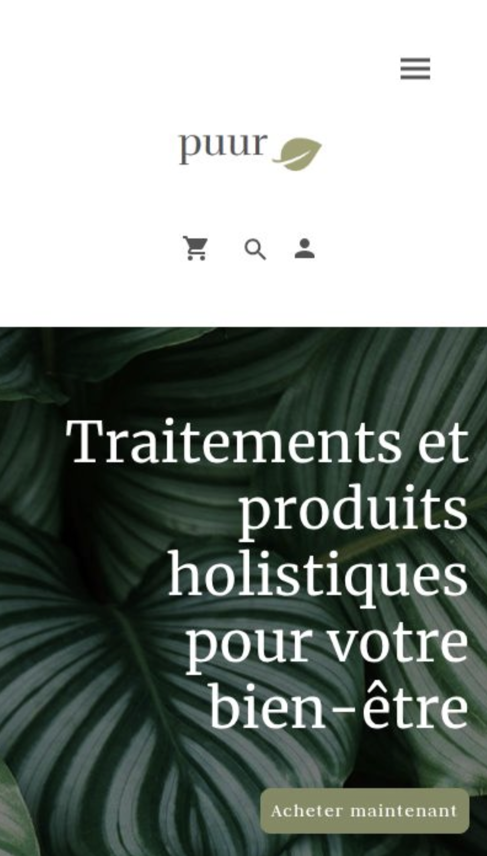 Aperçu du site Marque holistique