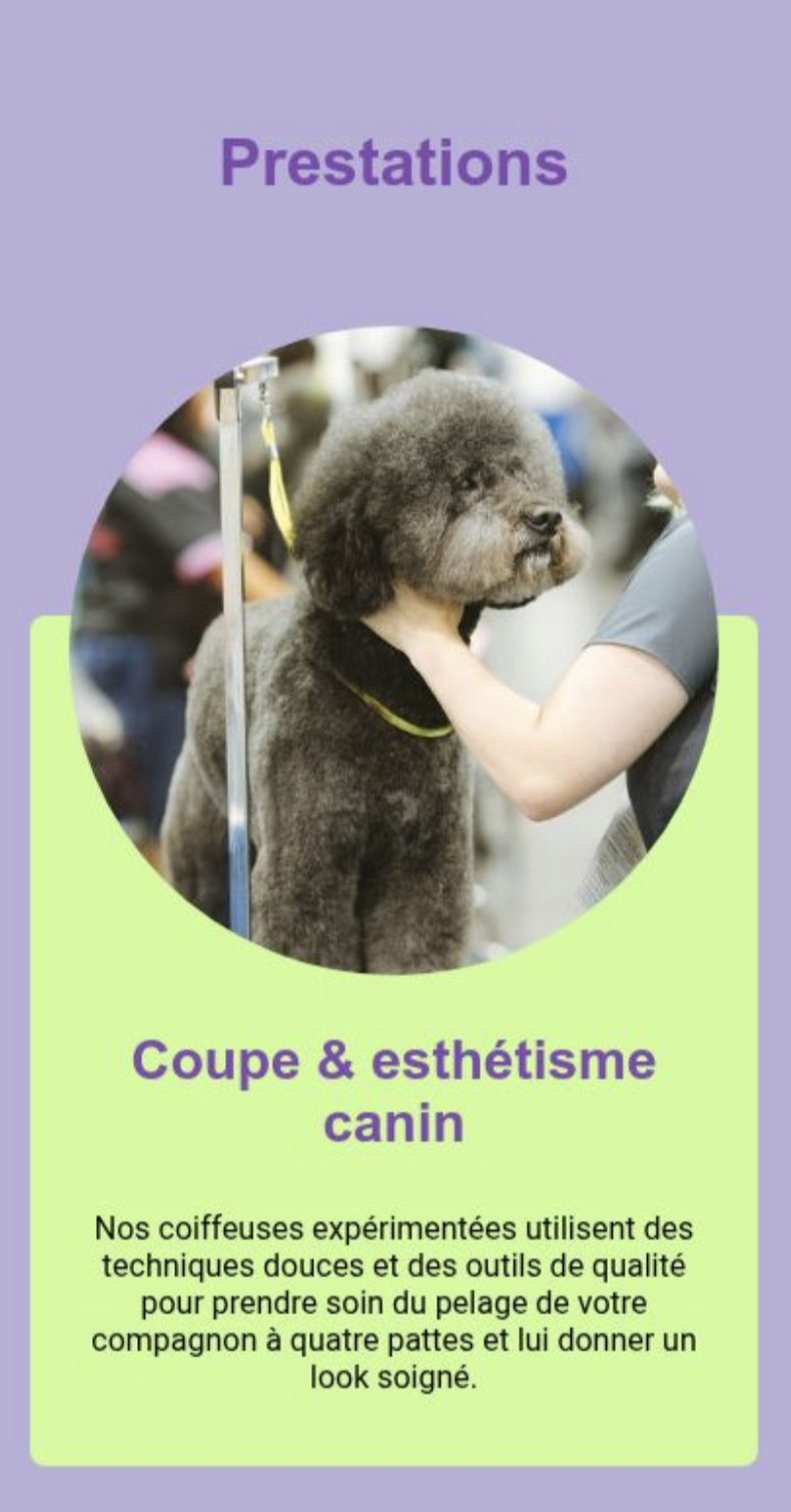 Aperçu du site Toilettage canin